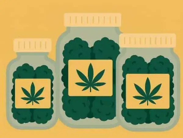 cannabis jar application